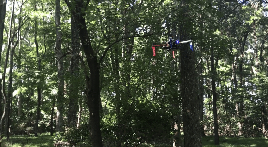 Search and Rescue Under the Forest Canopy Using Multiple UAVs